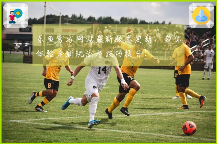 乐鱼官方网站最新版本更新，带你体验全新玩法与技巧提升！