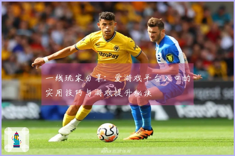 一线玩家分享：爱游戏平台入口的实用技巧与游戏提升秘诀