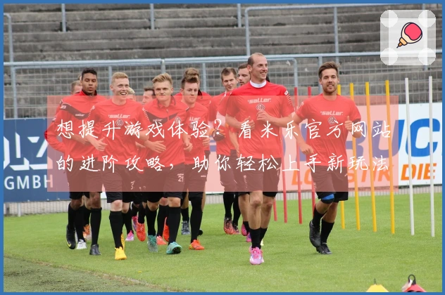 想提升游戏体验？看米乐官方网站的进阶攻略，助你轻松上手新玩法！