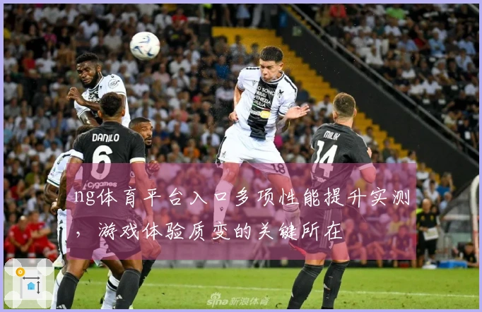 ng体育平台入口多项性能提升实测，游戏体验质变的关键所在