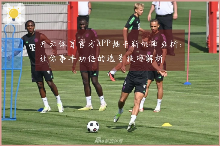 开云体育官方APP抽卡新机率分析，让你事半功倍的选号技巧解析