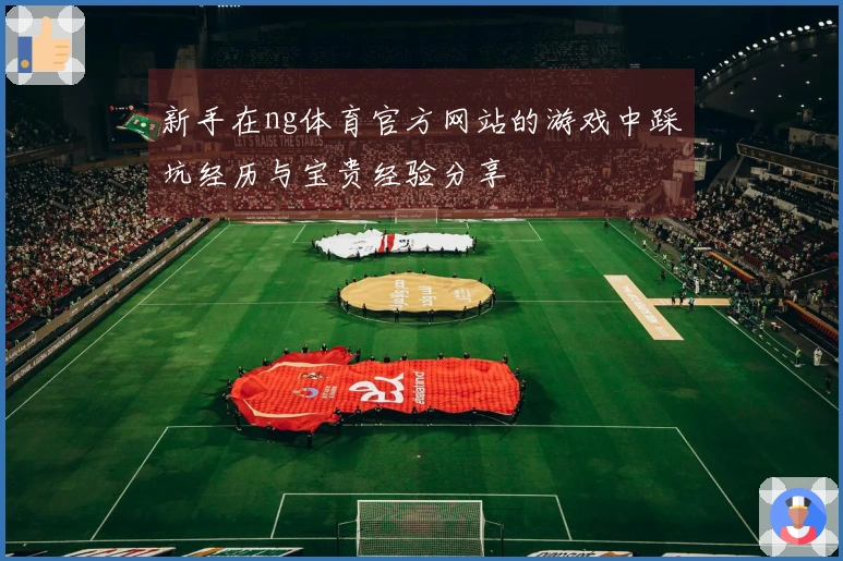 新手在ng体育官方网站的游戏中踩坑经历与宝贵经验分享